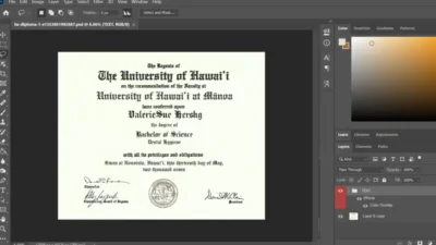 Authentic-Looking Fake Certificate From Hawaii AT Manoa University PSD Template