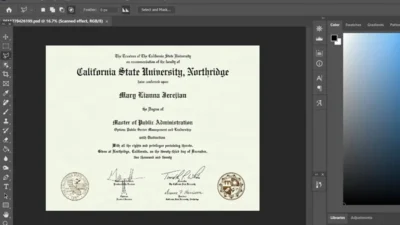 Fake Certificate From California State University Northridge PSD Template