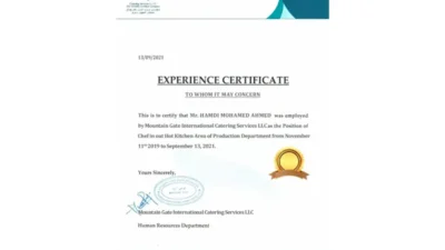 Fake Mountain Gate International Experience Certificate PSD Template