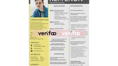 Fake Resume Format for Engineering Freshers Template