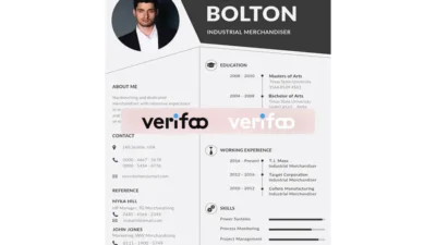 Merchandiser Resume Template