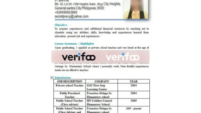 Fake Resume Template V2