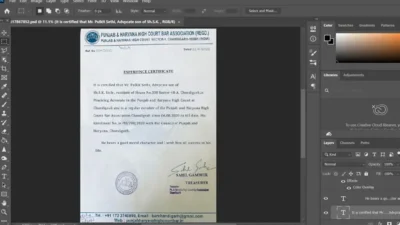 Fake Punjab Haryana High Court Bar Association Experience Certificate PSD Template