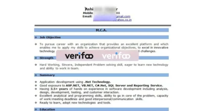 Fake Resume Template V4