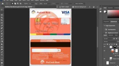 Moldova ProCredit bank visa electron credit card Templates