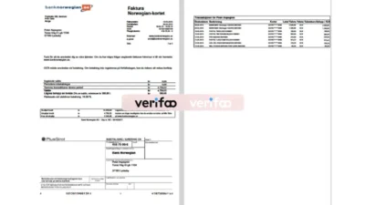 Sweden Bank Norwegian Credit Card Statement Template in word and pdf format