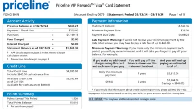 Priceline Credit Card Statement Template in Word and PDF Format