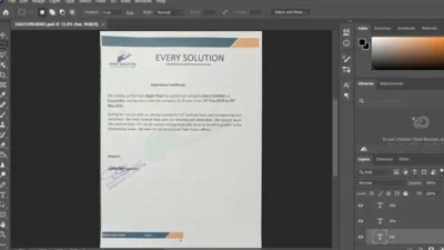 Fake Every Solution Experience Certificate PSD Template